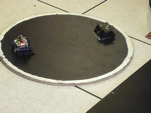 Dos robots minisumo sobre un dohyo circular negro con borde blanco